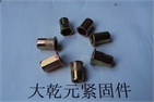 All kinds rivet nuts