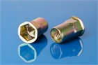 Socket head rivet nuts