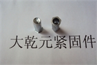 Hex head rivet nuts